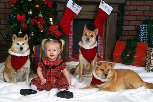 Portraits Sample Image