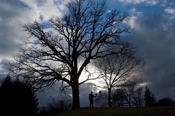 Weddings Sample Image